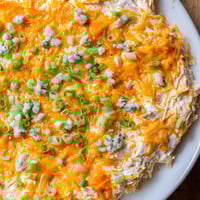 Golden, bubbly Buffalo Chicken Dip, served warm with crisp celery and tortilla chips for dipping.